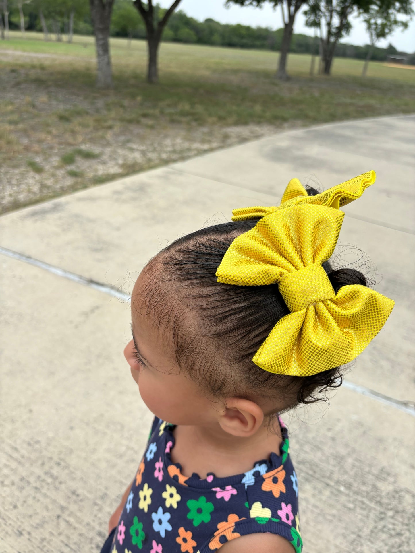 4” Basic Bows Holographic